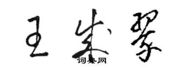 駱恆光王成翠草書個性簽名怎么寫