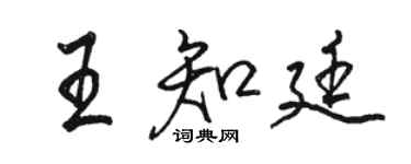 駱恆光王知廷行書個性簽名怎么寫