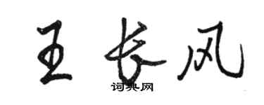 駱恆光王長風行書個性簽名怎么寫