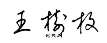 梁錦英王樹枚草書個性簽名怎么寫