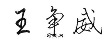 駱恆光王爭威行書個性簽名怎么寫