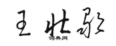 駱恆光王壯歌草書個性簽名怎么寫