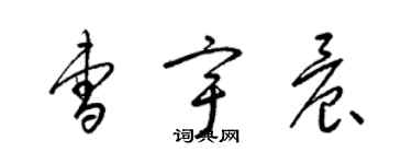 梁錦英曹宇晨草書個性簽名怎么寫