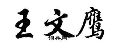 胡問遂王文鷹行書個性簽名怎么寫