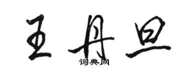 駱恆光王丹旦行書個性簽名怎么寫