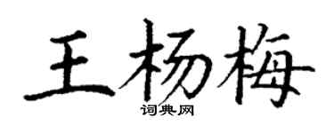 丁謙王楊梅楷書個性簽名怎么寫