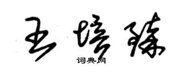 朱錫榮王培臻草書個性簽名怎么寫