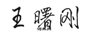 駱恆光王曙剛行書個性簽名怎么寫