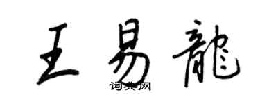王正良王易龍行書個性簽名怎么寫