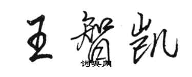 駱恆光王智凱行書個性簽名怎么寫