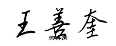 王正良王善奎行書個性簽名怎么寫