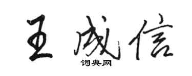 駱恆光王成信行書個性簽名怎么寫
