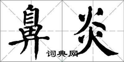 翁闓運鼻炎楷書怎么寫