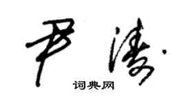 朱錫榮尹濤草書個性簽名怎么寫