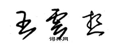 朱錫榮王雲想草書個性簽名怎么寫