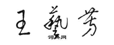 駱恆光王藝芳草書個性簽名怎么寫