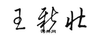 駱恆光王新壯草書個性簽名怎么寫