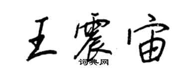 王正良王震宙行書個性簽名怎么寫