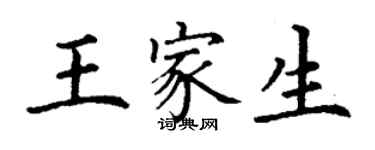 丁謙王家生楷書個性簽名怎么寫