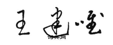 駱恆光王建唯草書個性簽名怎么寫