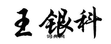 胡問遂王銀科行書個性簽名怎么寫