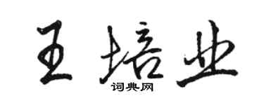 駱恆光王培業行書個性簽名怎么寫