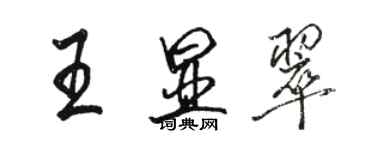 駱恆光王顯翠行書個性簽名怎么寫