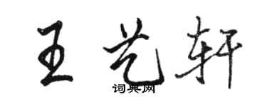 駱恆光王藝軒行書個性簽名怎么寫