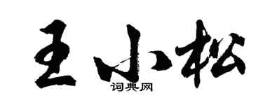 胡問遂王小松行書個性簽名怎么寫