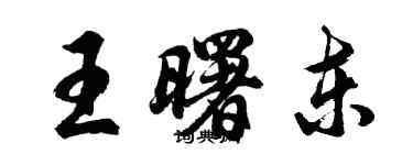 胡問遂王曙東行書個性簽名怎么寫