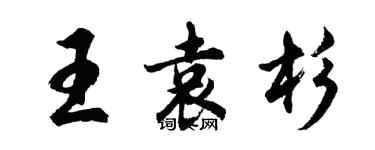 胡問遂王袁杉行書個性簽名怎么寫