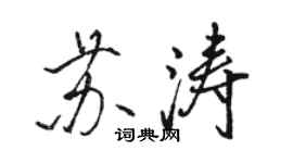 駱恆光蘇濤行書個性簽名怎么寫