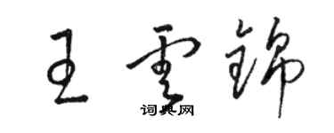 駱恆光王雲錦草書個性簽名怎么寫