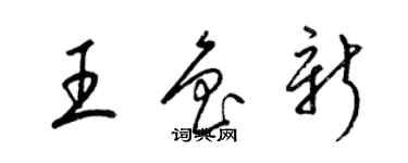梁錦英王魯新草書個性簽名怎么寫