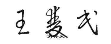 駱恆光王雙民草書個性簽名怎么寫