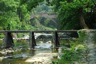 冬天做著春天的夢_冬天做著春天的夢作文