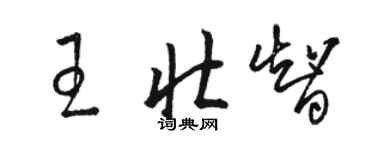 駱恆光王壯智草書個性簽名怎么寫