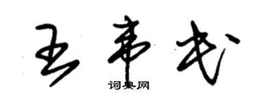 朱錫榮王韋民草書個性簽名怎么寫