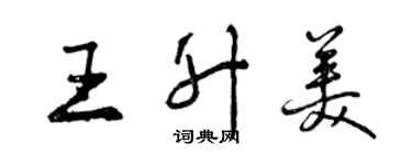 曾慶福王升美行書個性簽名怎么寫