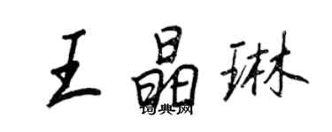 王正良王晶琳行書個性簽名怎么寫