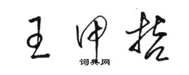 駱恆光王甲哲草書個性簽名怎么寫