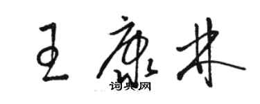 駱恆光王康林草書個性簽名怎么寫