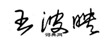 朱錫榮王波映草書個性簽名怎么寫