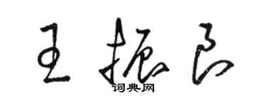 駱恆光王振良草書個性簽名怎么寫