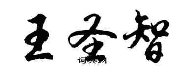 胡問遂王聖智行書個性簽名怎么寫