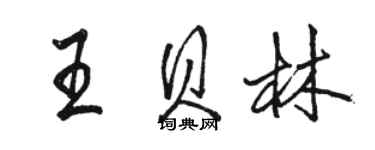 駱恆光王貝林行書個性簽名怎么寫