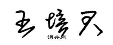 朱錫榮王培君草書個性簽名怎么寫
