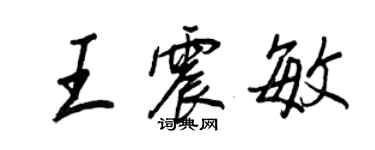 王正良王震敏行書個性簽名怎么寫