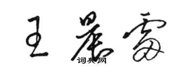 駱恆光王晨雷草書個性簽名怎么寫