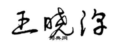 曾慶福王曉淳草書個性簽名怎么寫